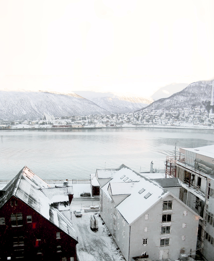 Arctic White Siding in Chattanooga