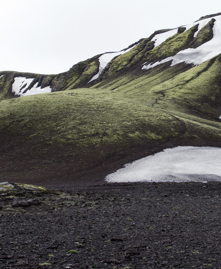 Heathered Moss color