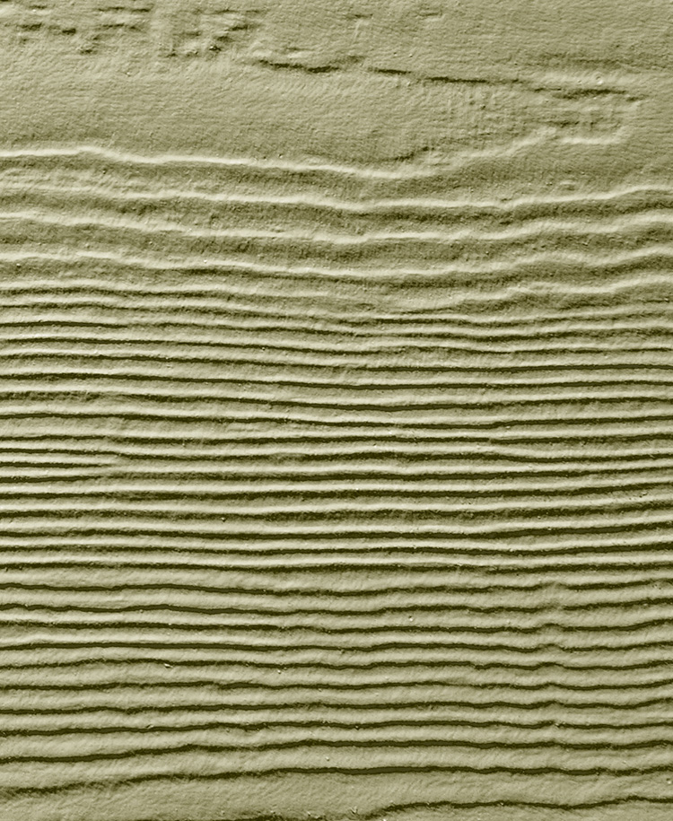 Heathered Moss Siding color