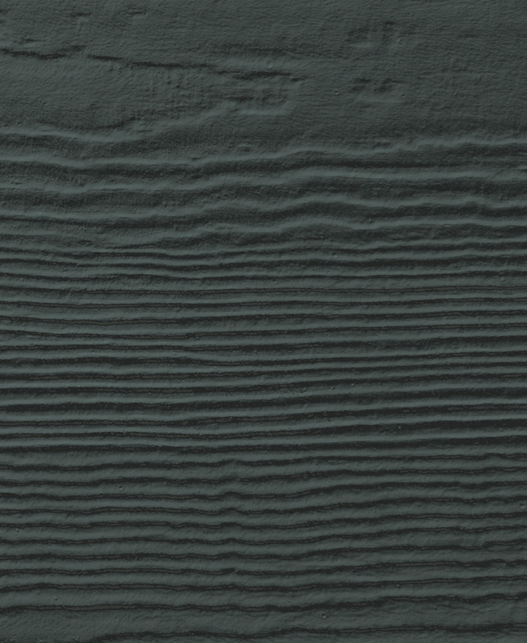 Iron Gray Siding in Chattanooga color