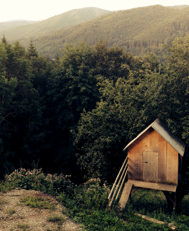 Mountain Sage Siding