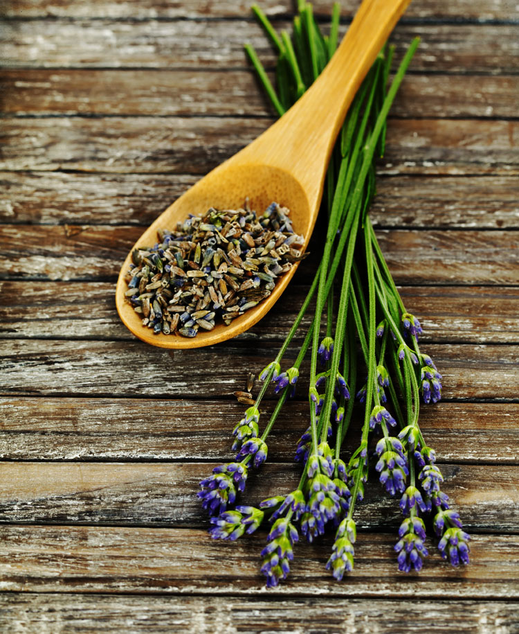 Woodstock Brown Hardie Siding